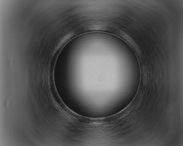 X0000052650482200507160227