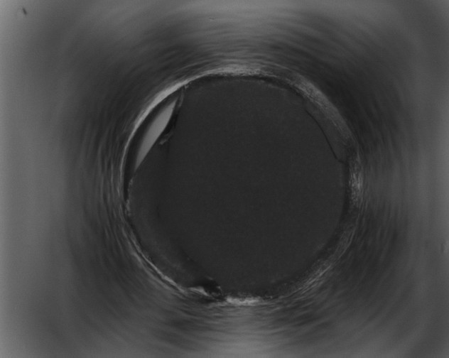 X0000052650484200507160227