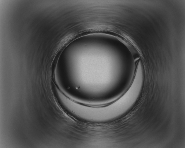 X0000052650485200507160227