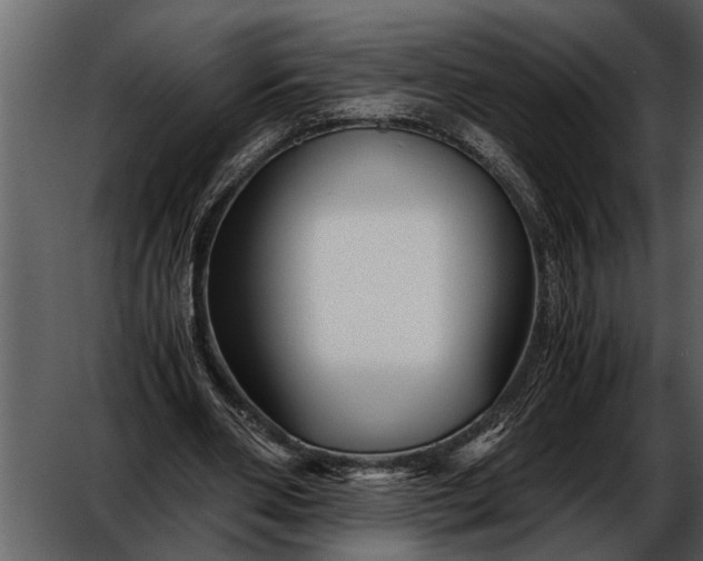 X0000052650486200507160227