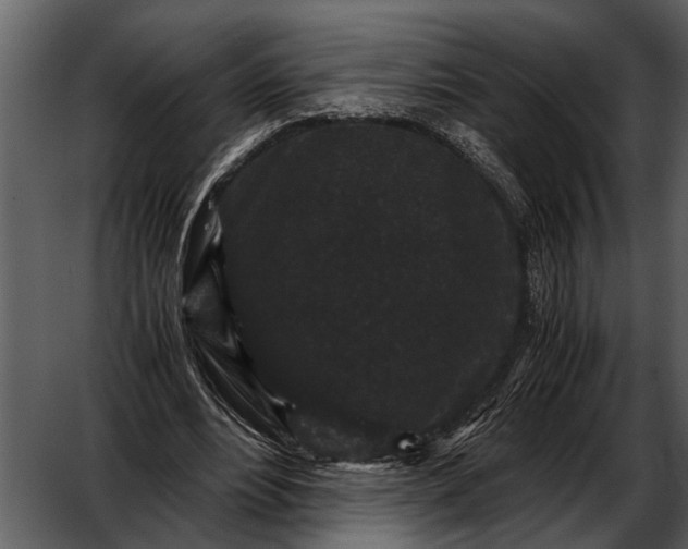 X0000052650488200507160227