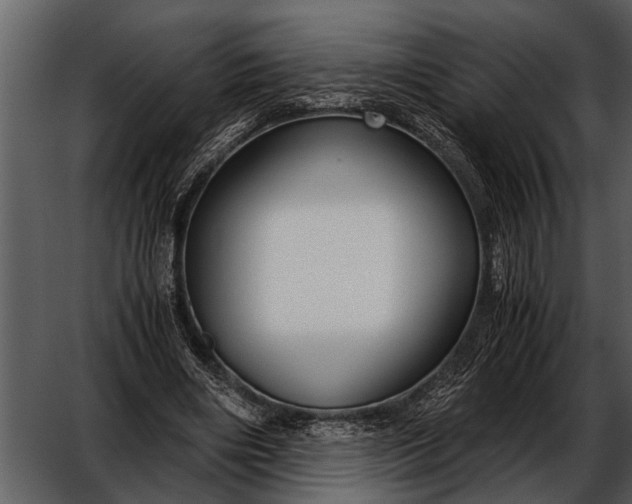 X0000052650490200507160227