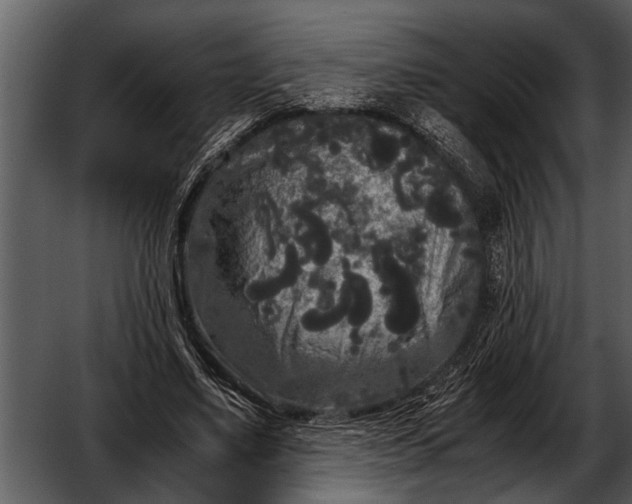 X0000052650491200507160227