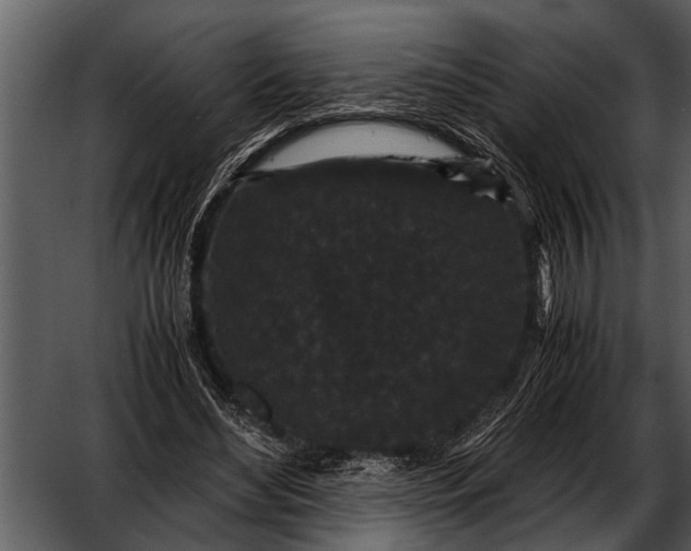 X0000052650492200507160227