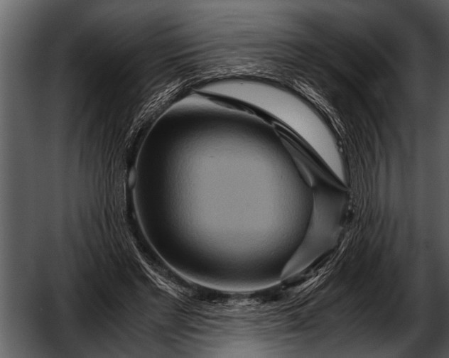 X0000052650493200507160227