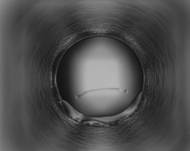 X0000052650494200507160227