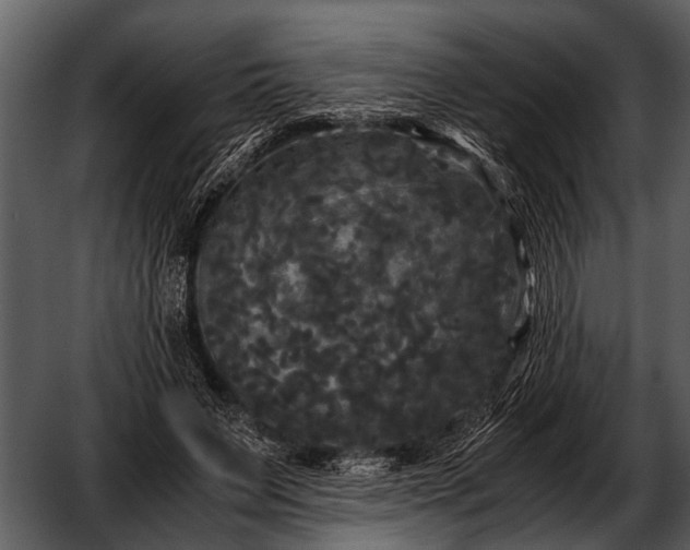 X0000052650495200507160227