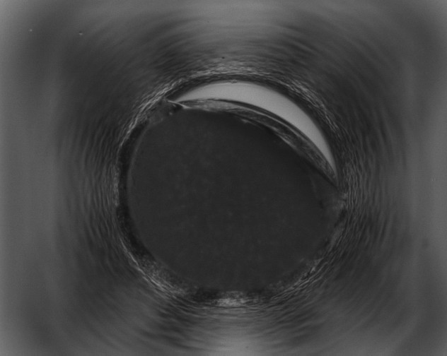 X0000052650496200507160227