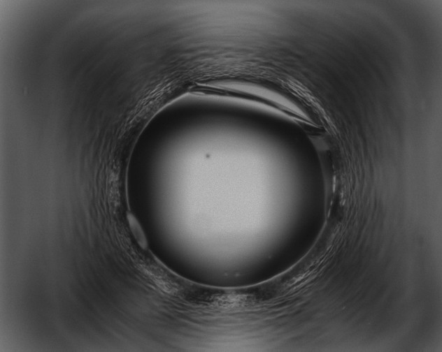 X0000052650497200507160227