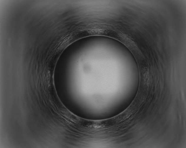 X0000052650498200507160227