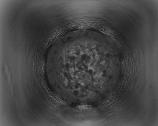 X0000052650499200507160227