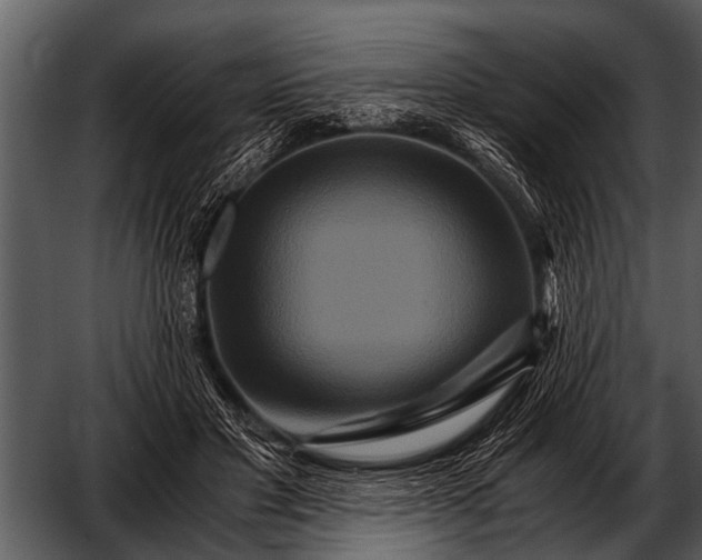 X0000052650501200507160227