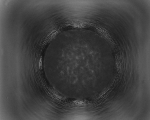 X0000052650502200507160227