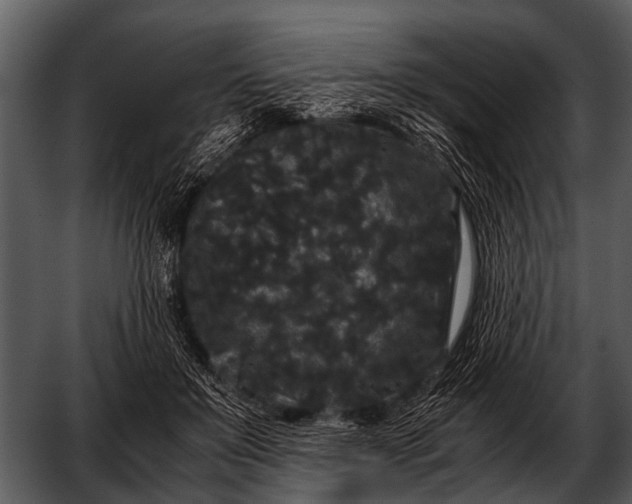 X0000052650503200507160227