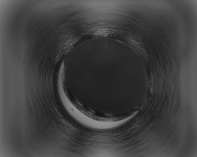 X0000052650504200507160227