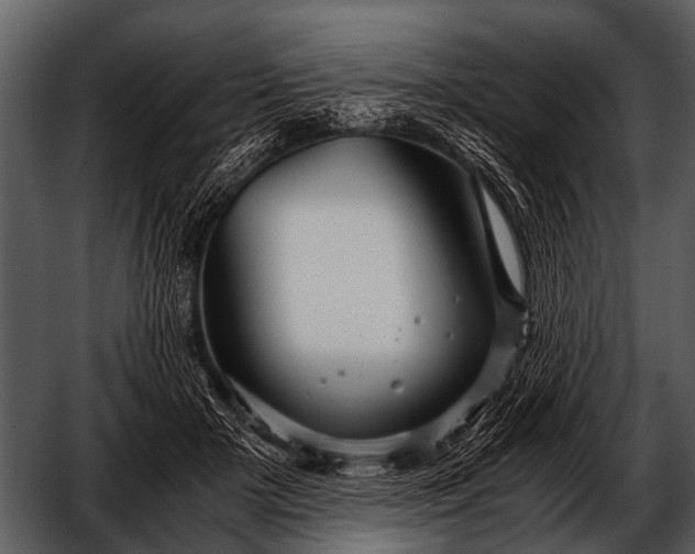 X0000052650505200507160227