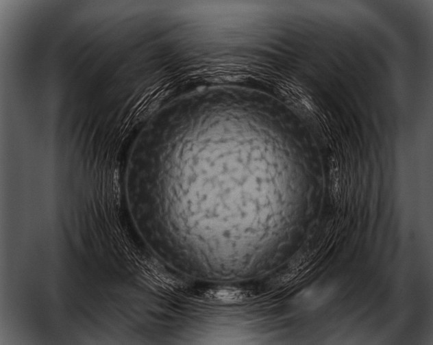 X0000052650506200507160227