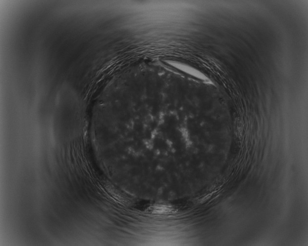 X0000052650507200507160227