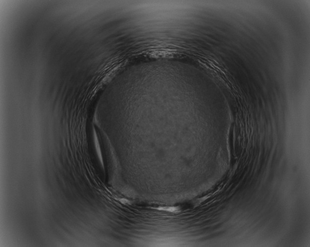 X0000052650508200507160227