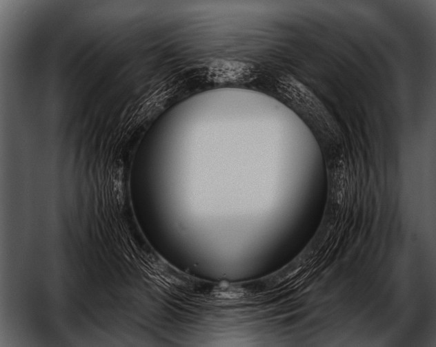 X0000052650510200507160227