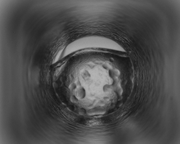 X0000052650511200507160227