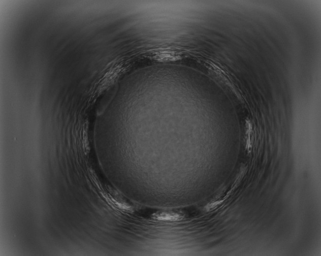 X0000052650512200507160227