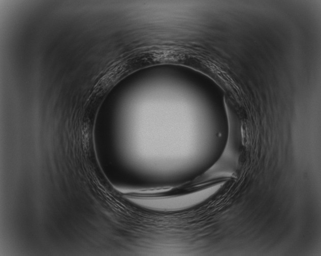 X0000052650513200507160227