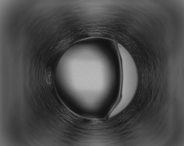 X0000052650514200507160227