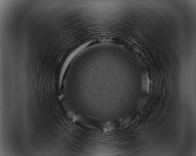 X0000052650516200507160226