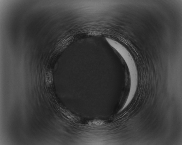 X0000052650517200507160226