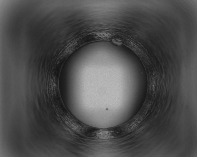 X0000052650518200507160226