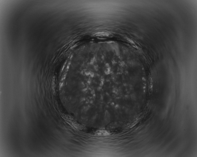 X0000052650519200507160226