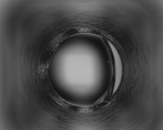 X0000052650521200507160226