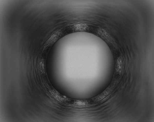 X0000052650522200507160226