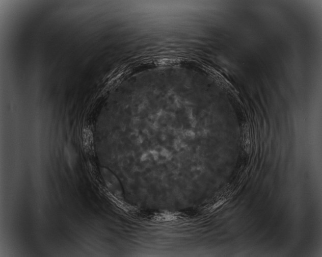 X0000052650523200507160226