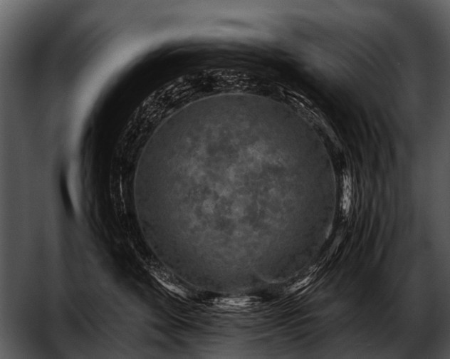 X0000052650524200507160226