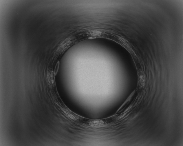 X0000052650525200507160226