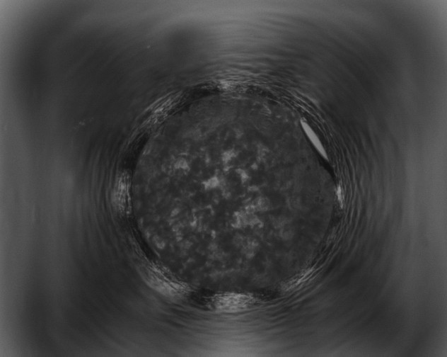 X0000052650527200507160226