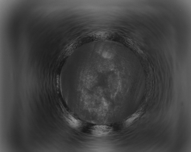 X0000052650528200507160226