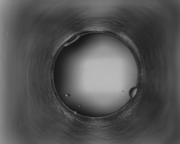 X0000052650529200507160225