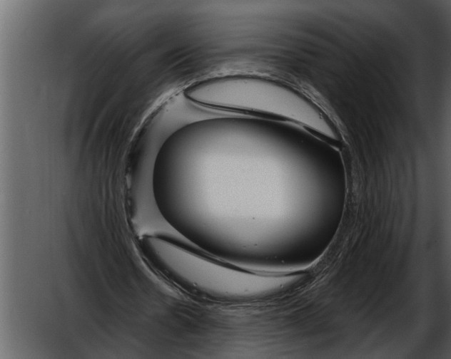 X0000052650530200507160225