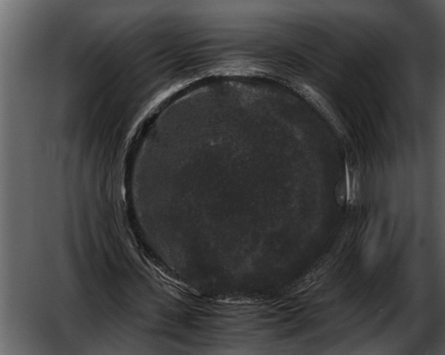 X0000052650531200507160225