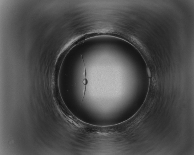 X0000052650532200507160225