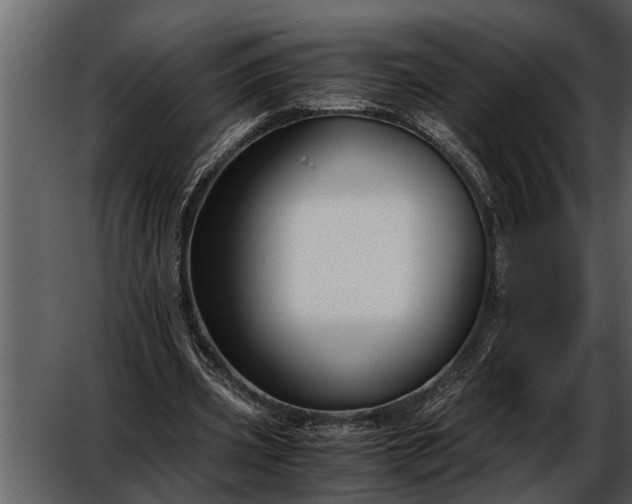 X0000052650533200507160226