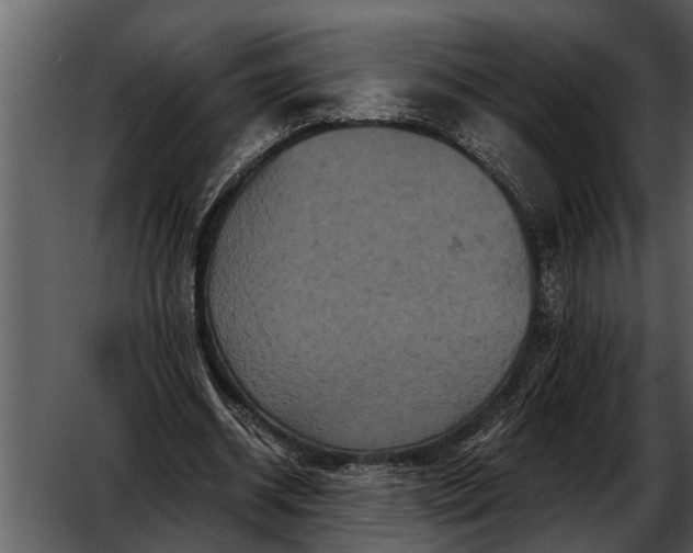 X0000052650534200507160226