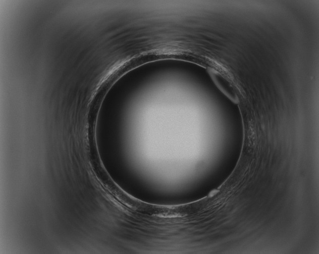 X0000052650535200507160226