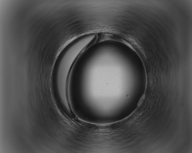 X0000052650536200507160226