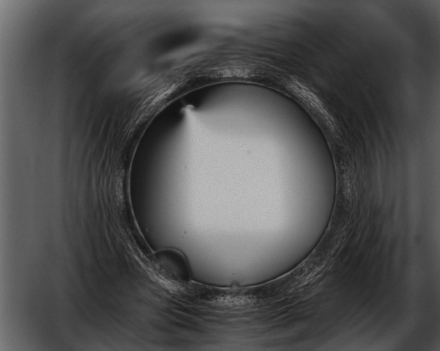 X0000052650537200507160226