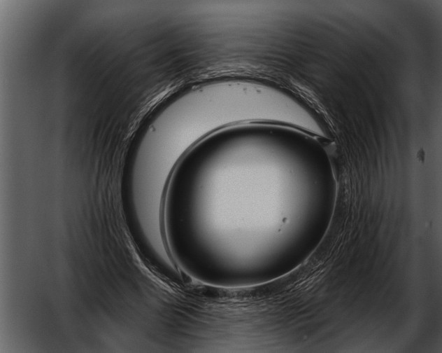 X0000052650538200507160226