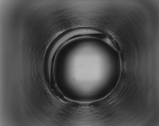 X0000052650540200507160226